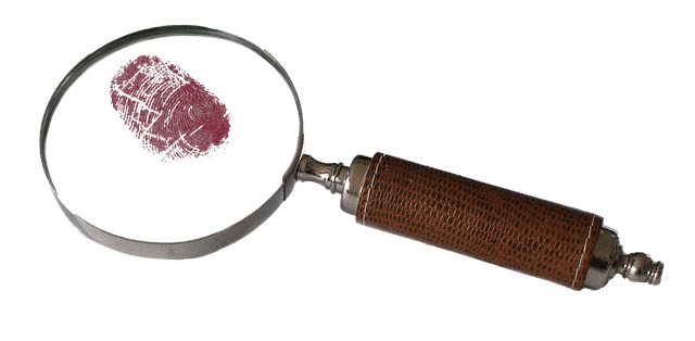 magnifying-2682725_640